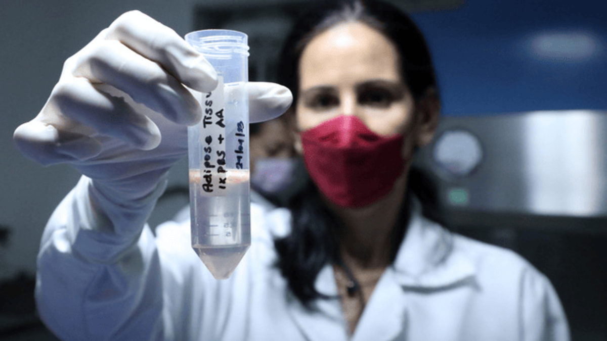Estudio sobre terapia celular para reparar daño del páncreas por diabetes tipo 2