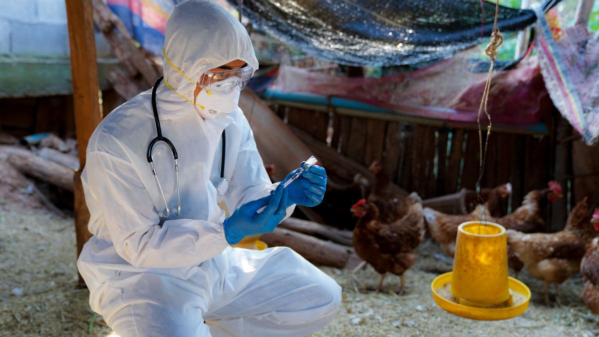 Detectado el primer caso humano de influenza aviar A (H5N1) en México: Respuesta y medidas de prevención