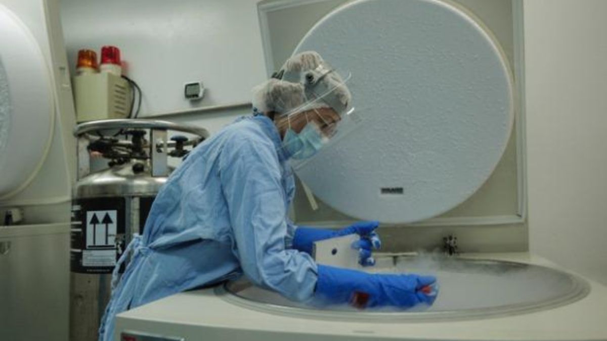 Banco de Cordón Umbilical del IMSS 20 años ofreciendo esperanza terapéutica en enfermedadeS