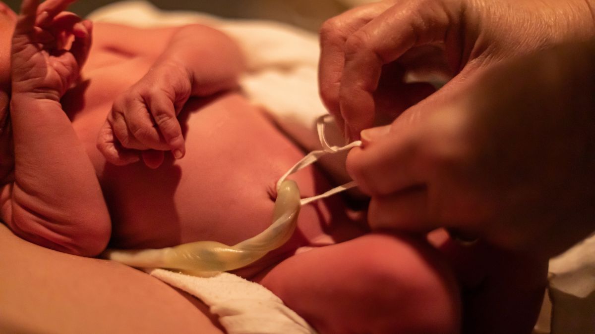 En el Día Internacional de la Partería, la Secretaría de Salud reafirma su compromiso con una atención digna, segura e intercultural, reconociendo formalmente a las parteras dentro del Sistema Nacional de Salud.