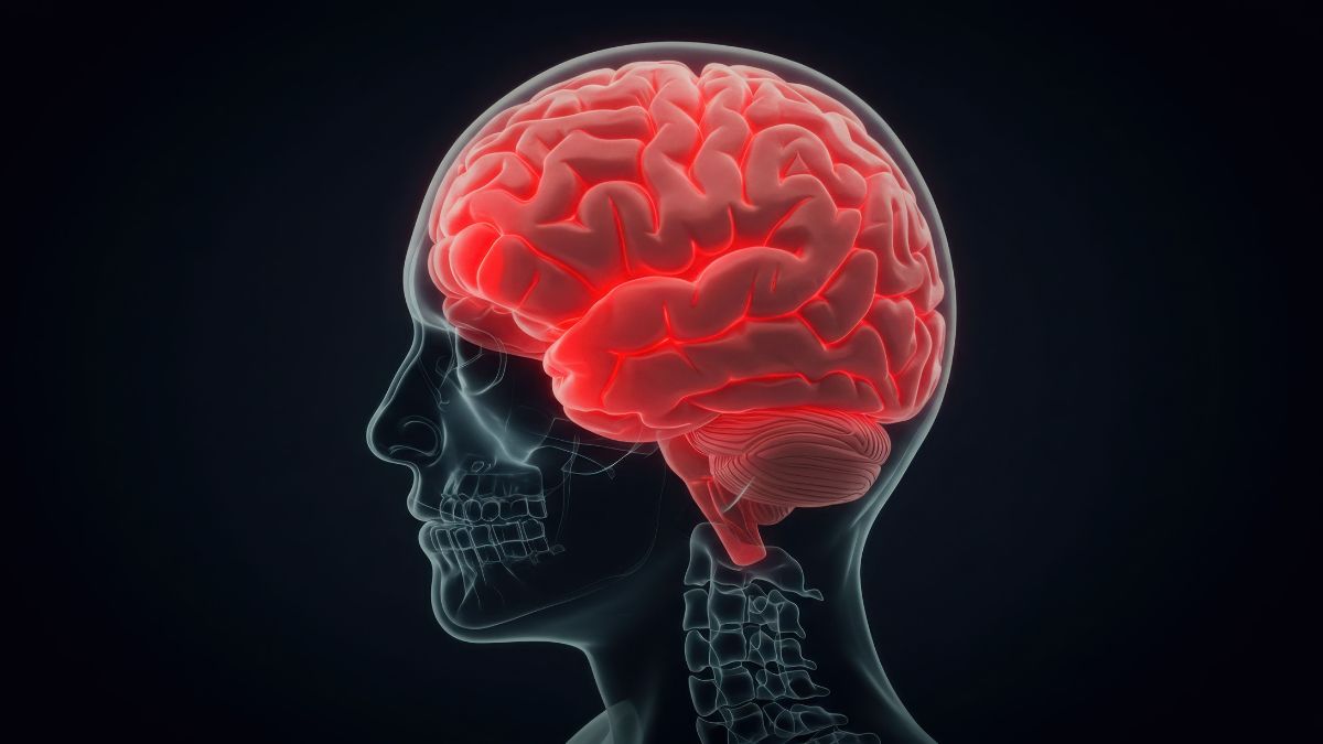 Alzheimer la revolución científica que acerca diagnósticos tempranos y tratamientos modificadores