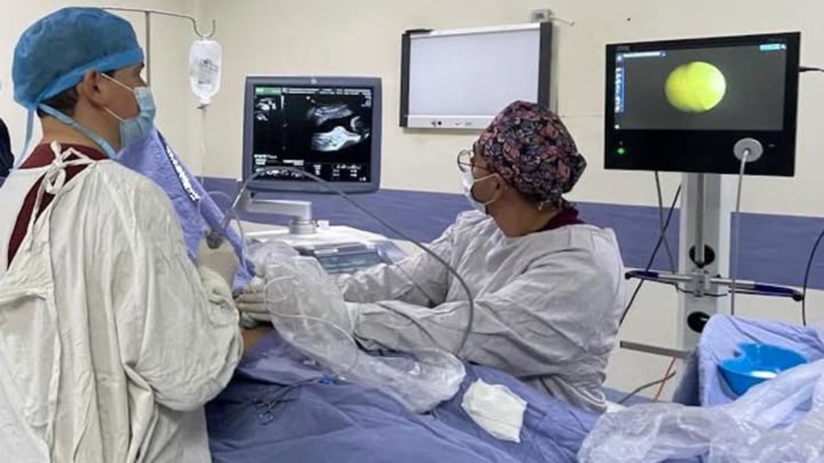 Guanajuato reporta 77.549 pruebas de tamizaje en embarazadas en cinco años