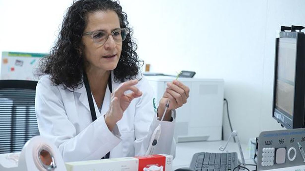 Mujeres médicas IMSS reconocimiento a su aporte histórico en salud, docencia e investigación