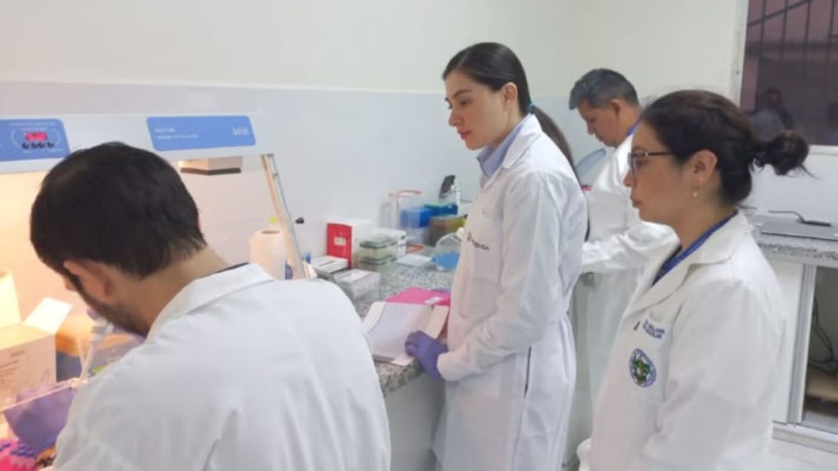 Dengue en las Américas muestra fuerte descenso pero la OPS advierte riesgo por los cuatro serotipos