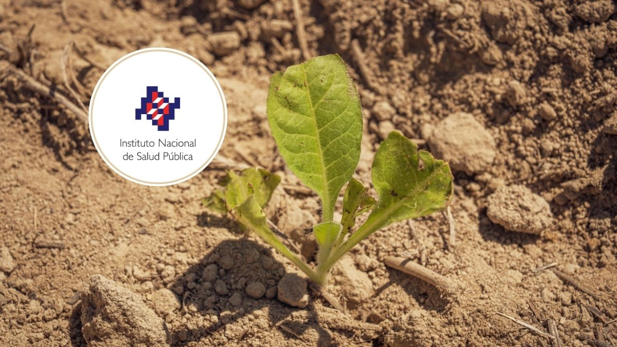 INSP fortalece investigación sobre calor extremo y vigilancia epidemiológica