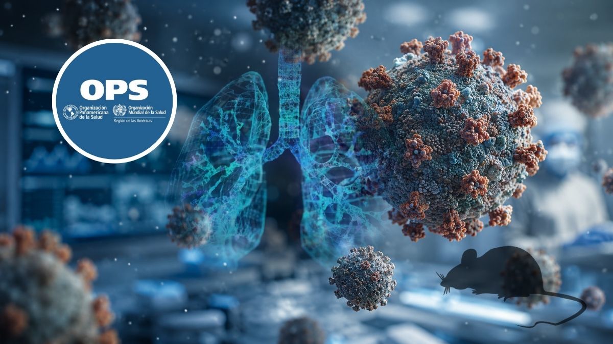 OPS acompaña investigación epidemiológica por casos de hantavirus vinculados a crucero