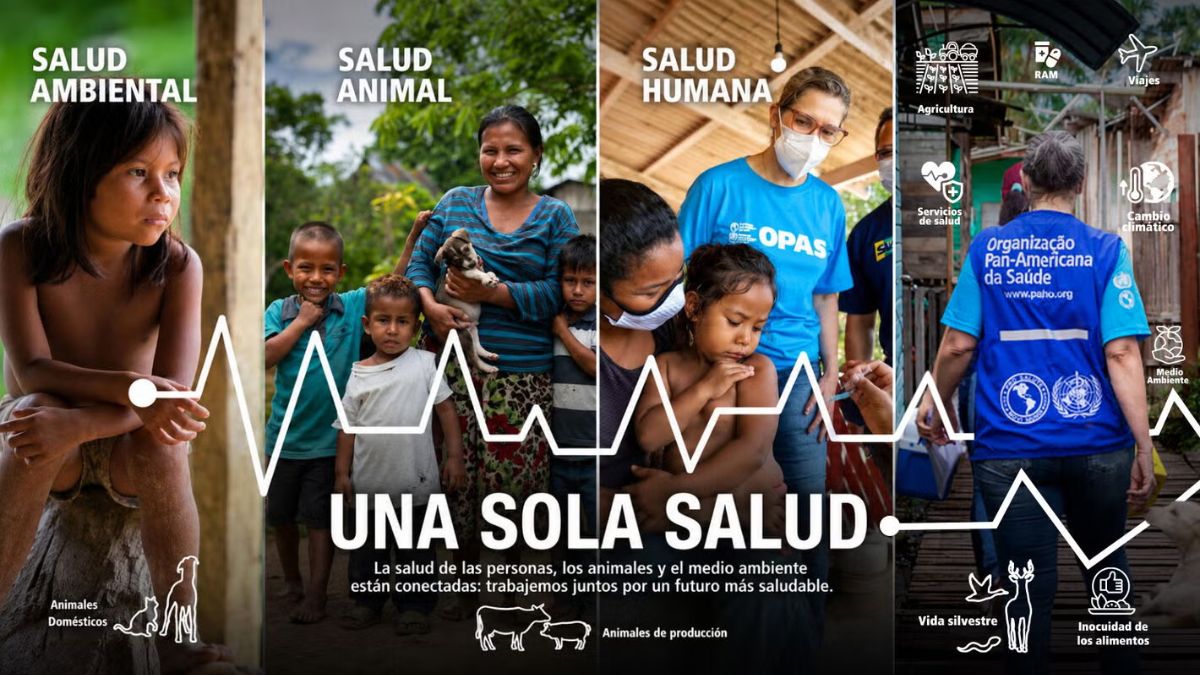 Declaración conjunta impulsa el enfoque Una Sola Salud para responder a amenazas sanitarias en las Américas