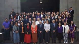 Atención integral a víctimas de violencia sexual en el contexto de salud pública en México