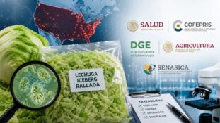 Brote de ciclosporiasis en Estados Unidos activa investigación sanitaria sobre la cadena de lechuga