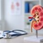 Cáncer de riñón puede detectarse con chequeos rutinarios ISSSTE llama a revisión anual