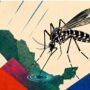 Dengue en México exige vigilancia pese a la reducción de casos en 2026