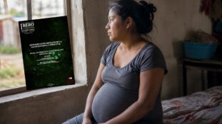 Determinantes Sociales de la Salud Materna y Perinatal: lo que el modelo biomédico no ve
