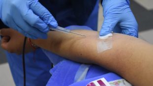 Donación voluntaria de sangre en México: una urgencia nacional que puede salvar vidas