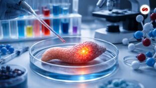 Estudio del CNIO logra regresión completa del cáncer de páncreas en ratones ruta y límites hacia humanos