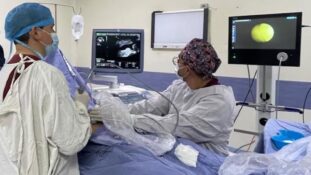 Guanajuato reporta 77.549 pruebas de tamizaje en embarazadas en cinco años