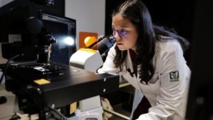 IMSS desarrolla Inteligencia Artificial para optimizar la respuesta a inmunoterapia en melanoma