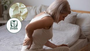 IMSS impulsa estrategias integrales para prevenir la osteoporosis y fortalecer la salud ósea