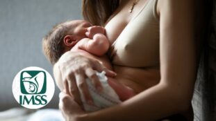 Lactancia materna en el IMSS: más de 177 mil recién nacidos egresaron en 2025 con alimentación exclusiva