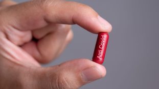 Medicamentos anticovid de Merck y Pfizer solo se distribuirán desde el sector público en México