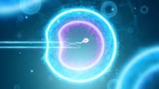 Nacimiento asistido por inteligencia artificial: una nueva era en la medicina reproductiva