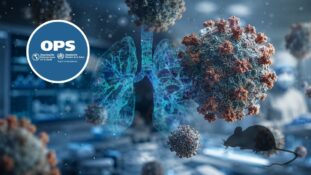 OPS acompaña investigación epidemiológica por casos de hantavirus vinculados a crucero