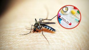 OPS llama a intensificar la eliminación de la malaria en las Américas y cerrar brechas en diagnóstico y tratamiento