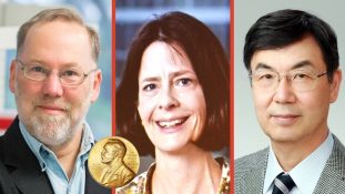 Premio Nobel de Medicina 2025: descubrimientos que cambiaron la comprensión del sistema inmunológico