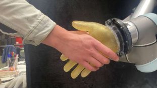 Una piel robótica con inteligencia artificial podría transformar la medicina detecta calor, presión y daño con un solo material