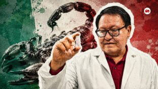 Veneno de alacrán la apuesta científica del INCMNSZ contra la tuberculosis resistente